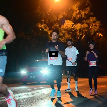 Runner Photo 4335310