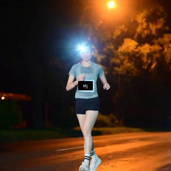 Runner Photo 4335321