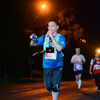 Runner Photo 4335329