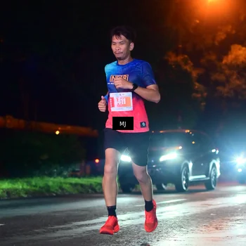 Runner Photo 4335350