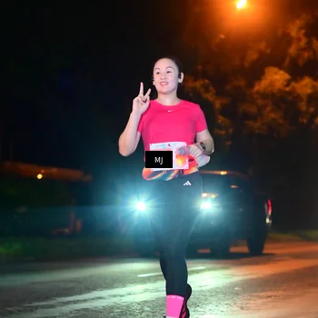 Runner Photo 4335375