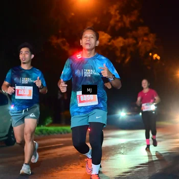 Runner Photo 4335381