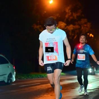 Runner Photo 4335387