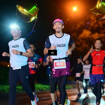 Runner Photo 4335420