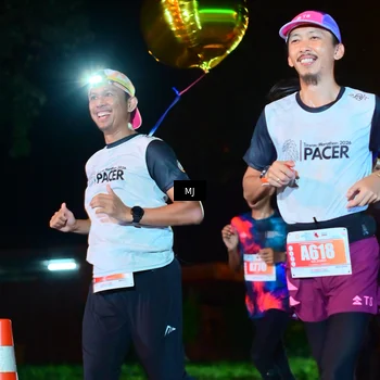 Runner Photo 4335423