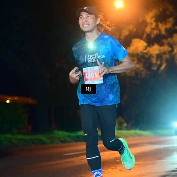 Runner Photo 4335426