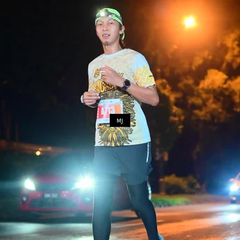 Runner Photo 4335436