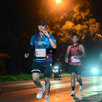 Runner Photo 4335445
