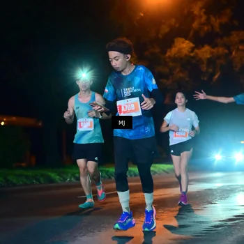 Runner Photo 4335459