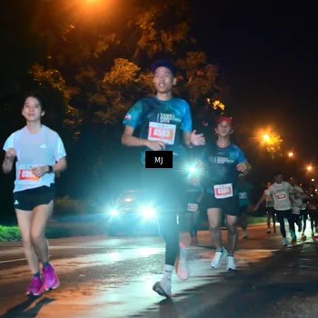 Runner Photo 4335460