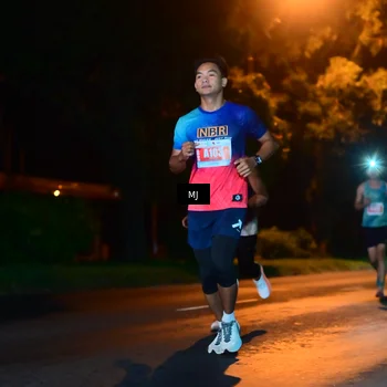 Runner Photo 4335463
