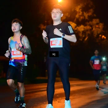 Runner Photo 4335465