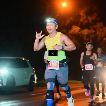 Runner Photo 4335504