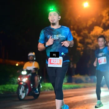 Runner Photo 4335511