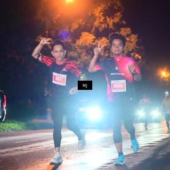 Runner Photo 4335513