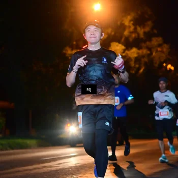 Runner Photo 4335524