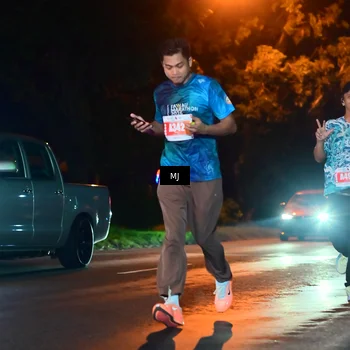 Runner Photo 4335549