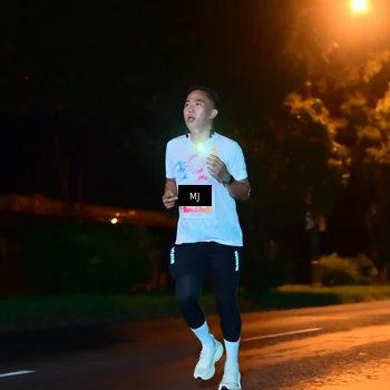 Runner Photo 4335567
