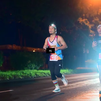 Runner Photo 4335576