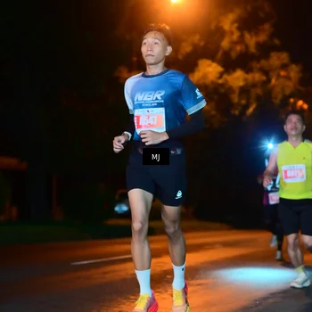 Runner Photo 4335601