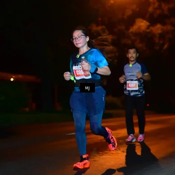 Runner Photo 4335611