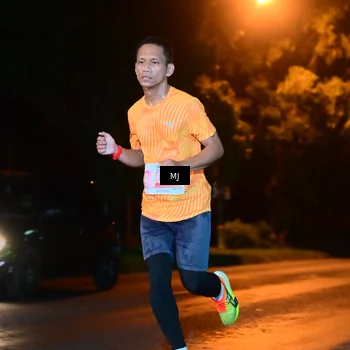 Runner Photo 4335870