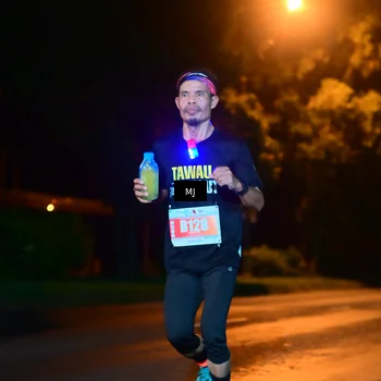 Runner Photo 4335877