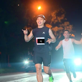 Runner Photo 4335887