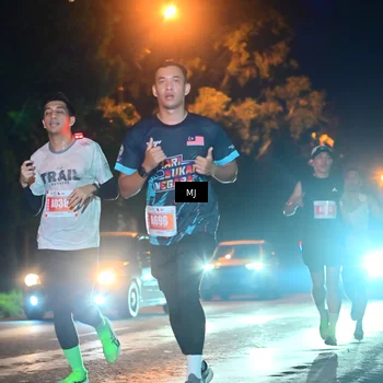Runner Photo 4335892