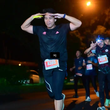 Runner Photo 4335896