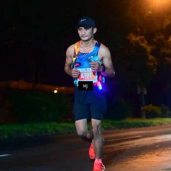 Runner Photo 4335916