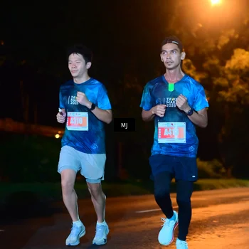 Runner Photo 4335948