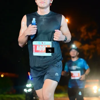 Runner Photo 4335954