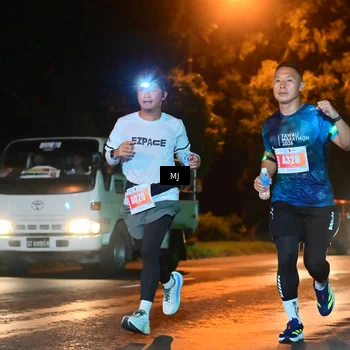 Runner Photo 4335971
