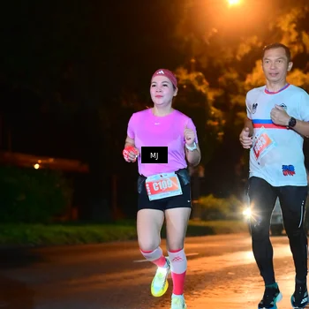 Runner Photo 4335976