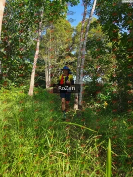 Runner Photo 4336