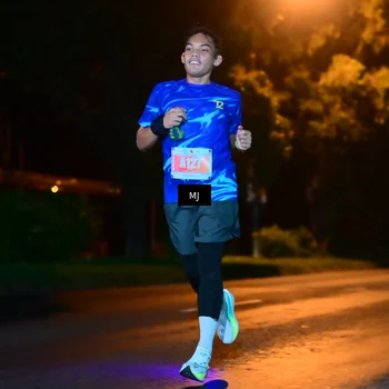 Runner Photo 4336105
