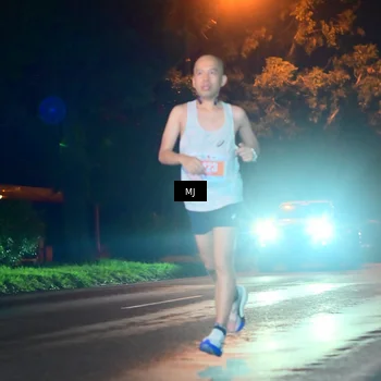 Runner Photo 4336304