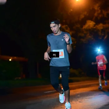 Runner Photo 4336454