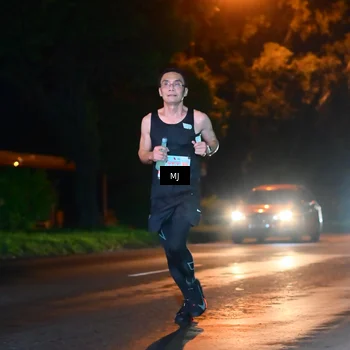 Runner Photo 4336616