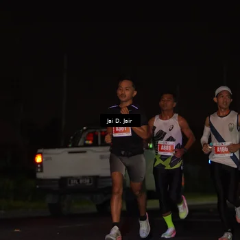 Runner Photo 4336759