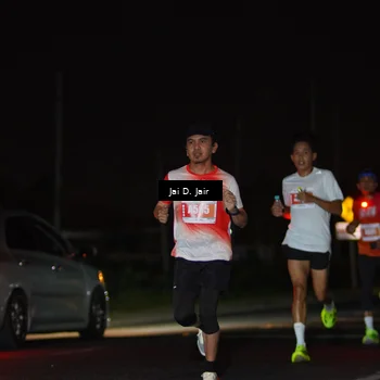 Runner Photo 4337508