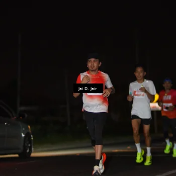 Runner Photo 4337535