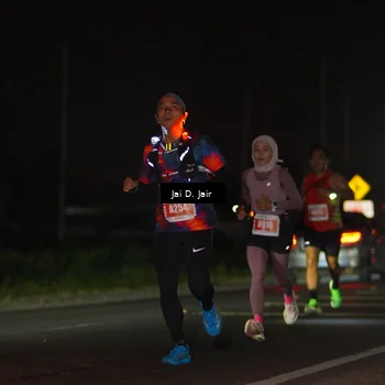 Runner Photo 4337919