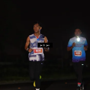 Runner Photo 4337977