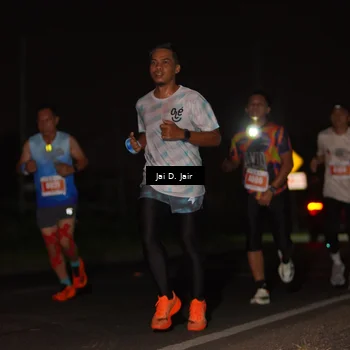 Runner Photo 4338276