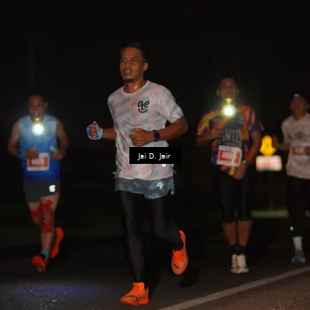 Runner Photo 4338284