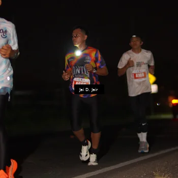 Runner Photo 4338294