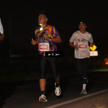 Runner Photo 4338338