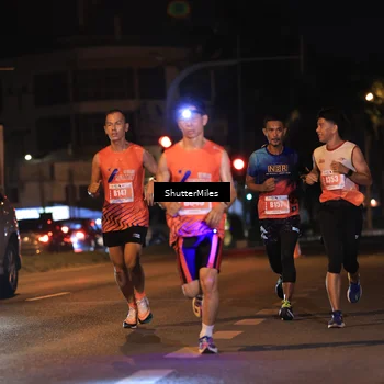 Runner Photo 4338405
